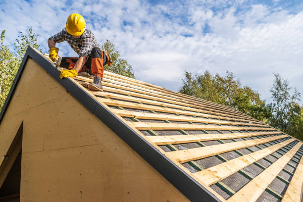 Best Roof Gutter Cleaning  in Temesl Valley, CA